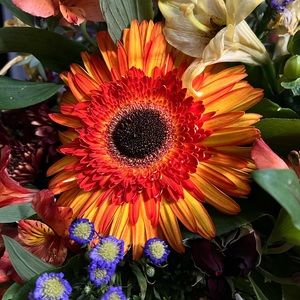 📦✨Customer Appreciation Giveaway!!✨📦